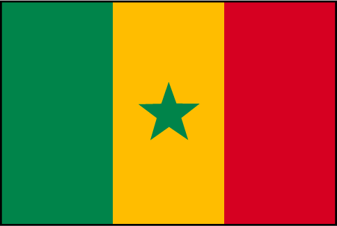 the flag of my contry