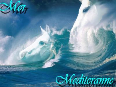 rabou mer mediteranne