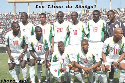 the lions of  my  contry